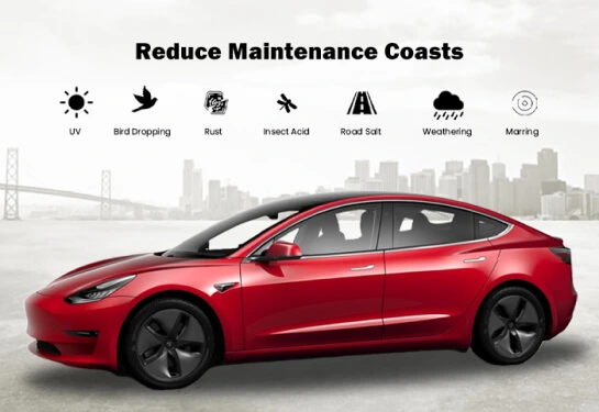 A red Tesla Model 3 displayed against a grayscale cityscape backdrop with bold text above that reads "Reduce Maintenance Coasts." Icons representing various car maintenance threats—UV rays, bird droppings, rust, insect acid, road salt, weathering, and marring—are shown above the car with corresponding labels.