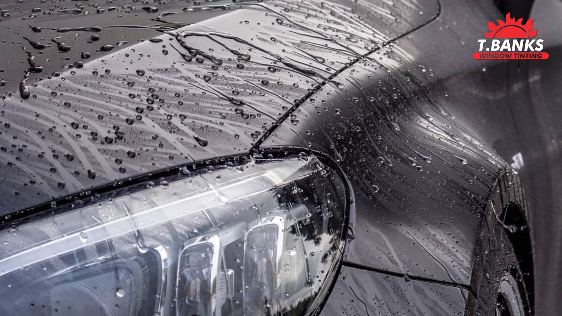 Close-up of water beading on the hood and headlight of a black car treated with ceramic coating, showcasing its hydrophobic effect.