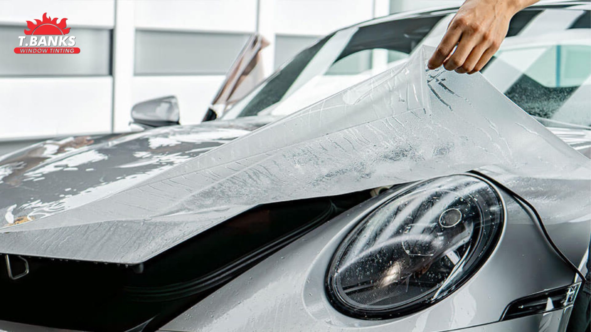 Technician carefully lifts and positions paint protection film over the hood of a silver car during installation. Water solution is visible beneath the film to allow proper alignment and smooth application.