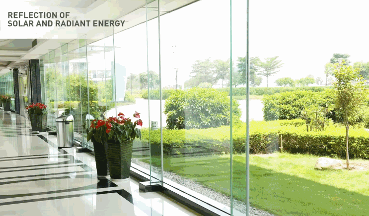 Bright office corridor with floor to ceiling glass walls showing landscaped greenery outside and reduced glare through commercial window tint.