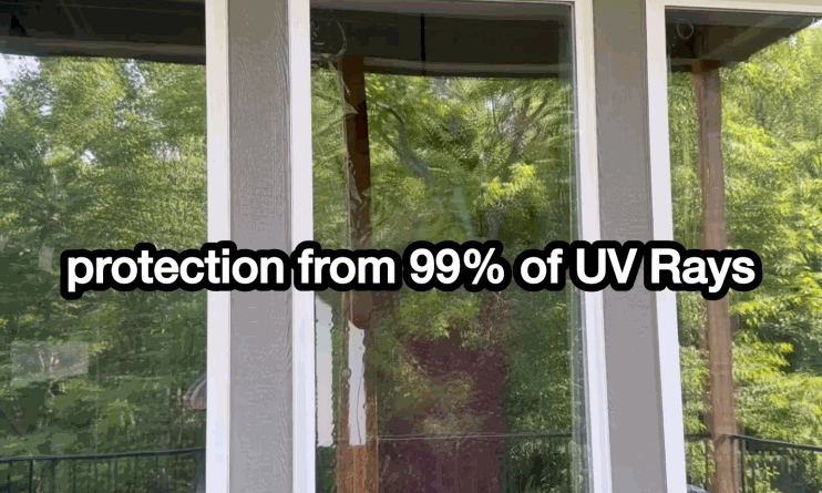 Large home windows reflecting green trees outside with bold overlay text reading "protection from 99% of UV Rays" demonstrating the benefit of residential window tint. The glass appears clear while still emphasizing sun protection. This highlights UV blocking performance without sacrificing visibility.